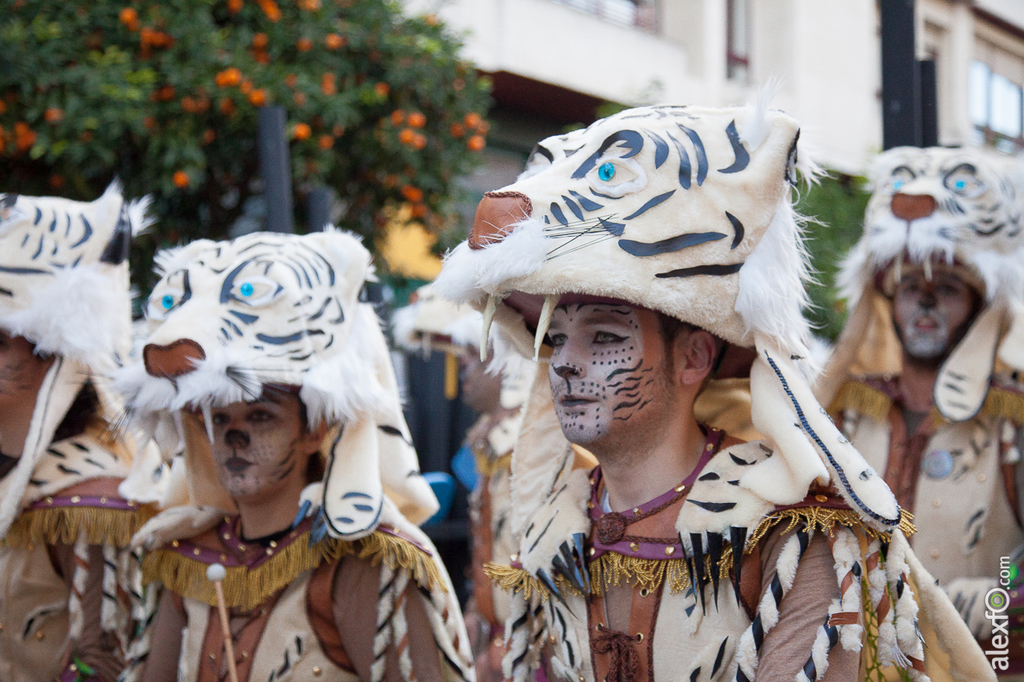 Comparsa Cambalada - Carnaval Badajoz 2015 IMG_7883