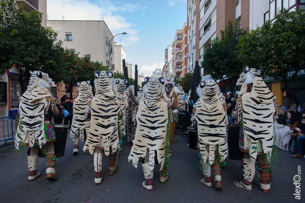 Comparsa Cambalada - Carnaval Badajoz 2015 IMG_7884