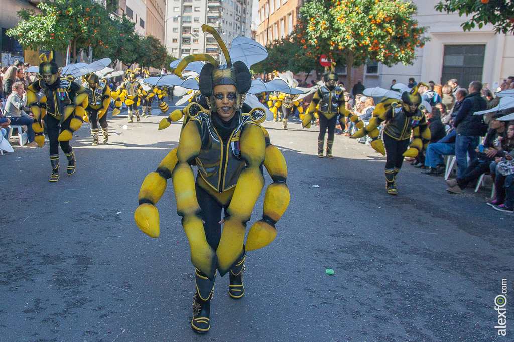 Comparsa Achikitú - Carnaval Badajoz 2015 IMG_7769