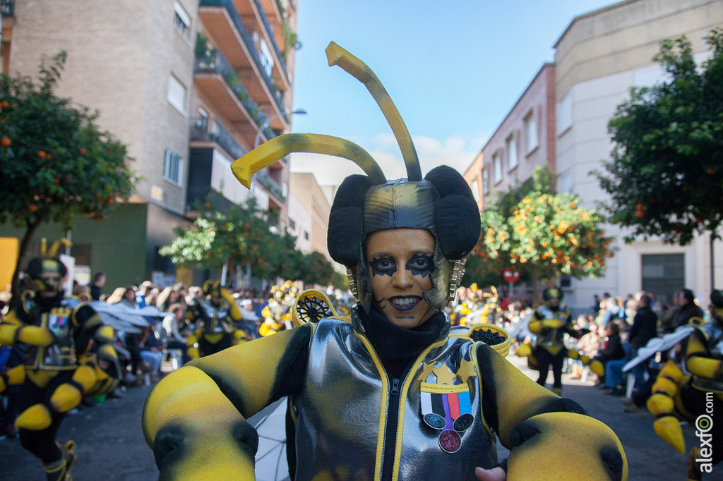 Comparsa Achikitú - Carnaval Badajoz 2015 IMG_7771