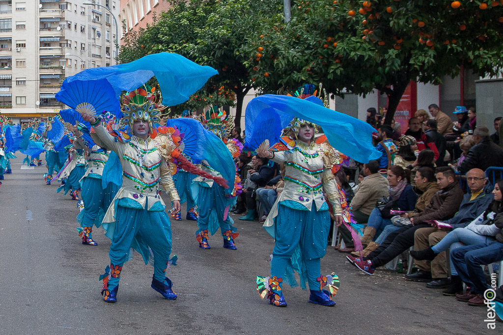 Comparsa La Bullanguera - Carnaval Badajoz 2015 IMG_7711