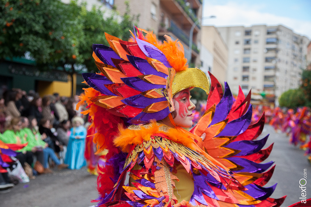 Comparsa Yuyubas - Carnaval Badajoz 2015 IMG_7574