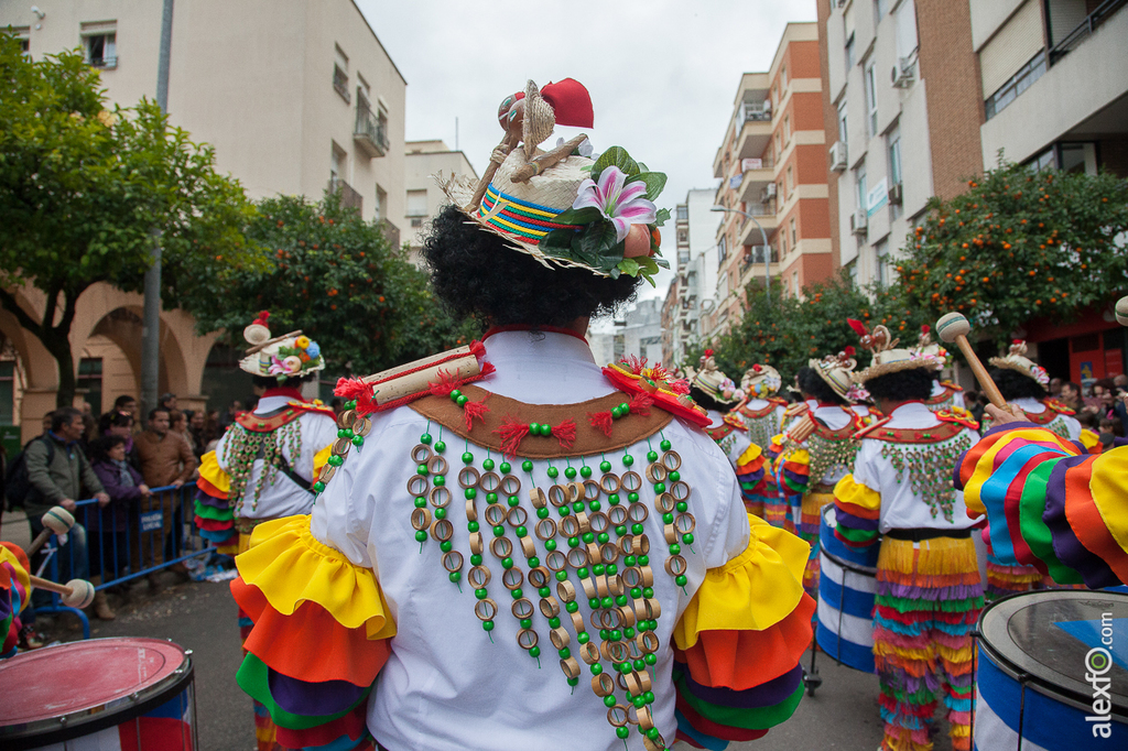 Comparsa La Kochera - Carnaval Badajoz 2015 IMG_7524