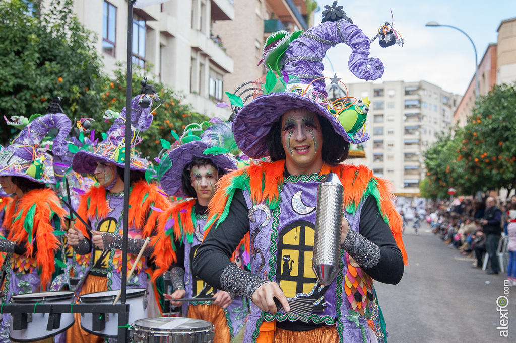 Comparsa Vas como quieres - Carnaval Badajoz 2015 IMG_7461