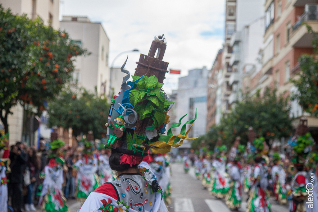 Comparsa Donde vamos la liamos - Carnaval Badajoz 2015 IMG_7288