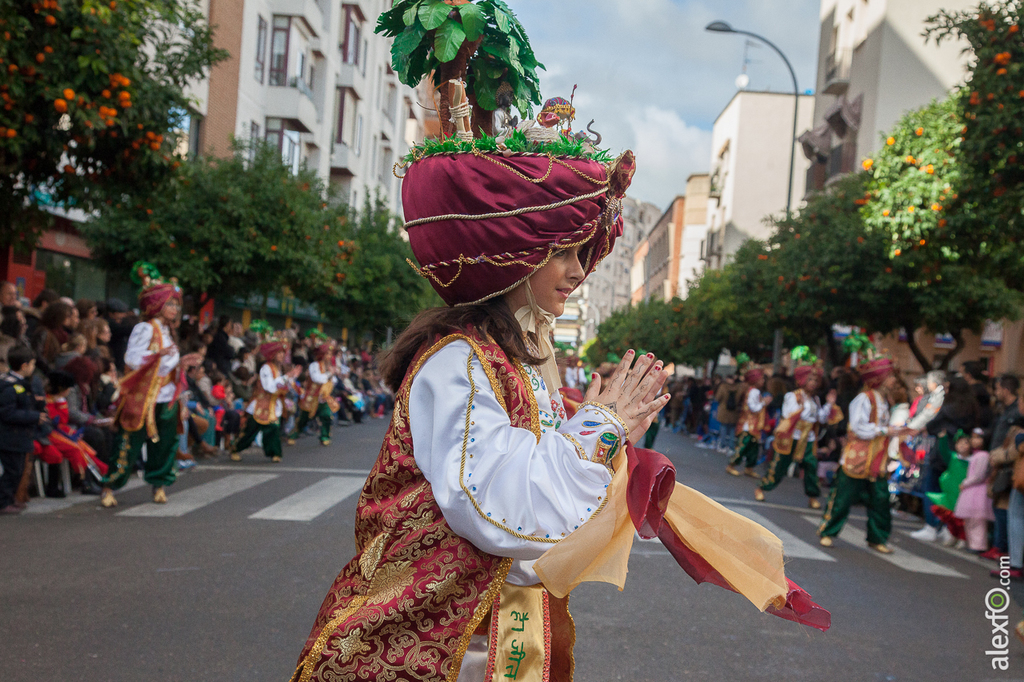 Comparsa Tarakanova - Carnaval Badajoz 2015 IMG_7237