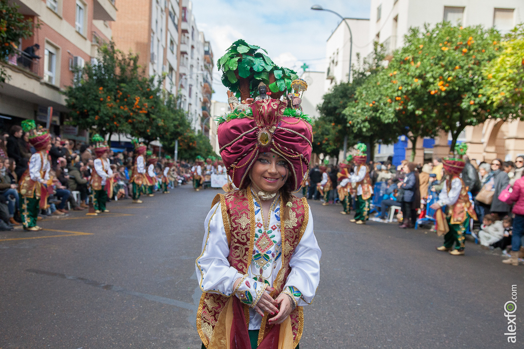 Comparsa Tarakanova - Carnaval Badajoz 2015 IMG_7245