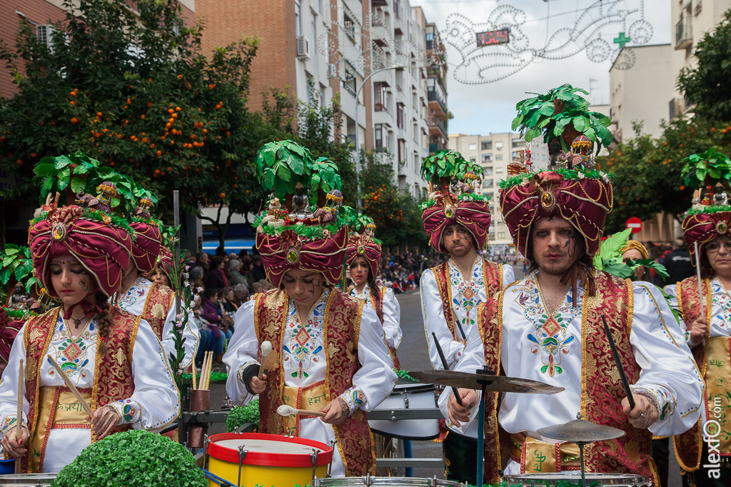 Comparsa Tarakanova - Carnaval Badajoz 2015 IMG_7260