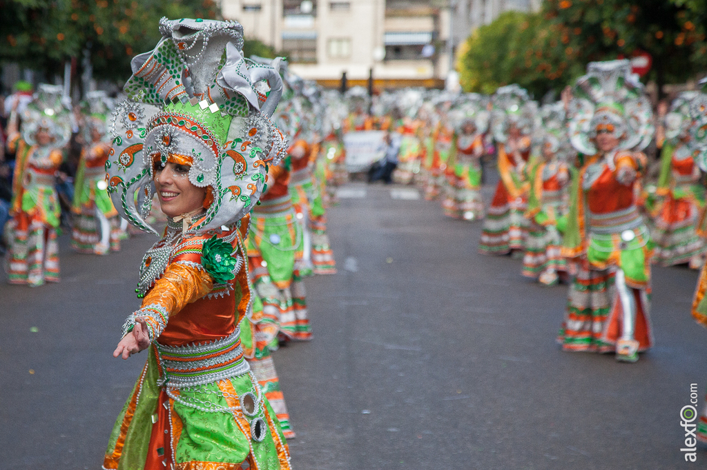 Comparsa Saqqora - Carnaval Badajoz 2015 IMG_7193