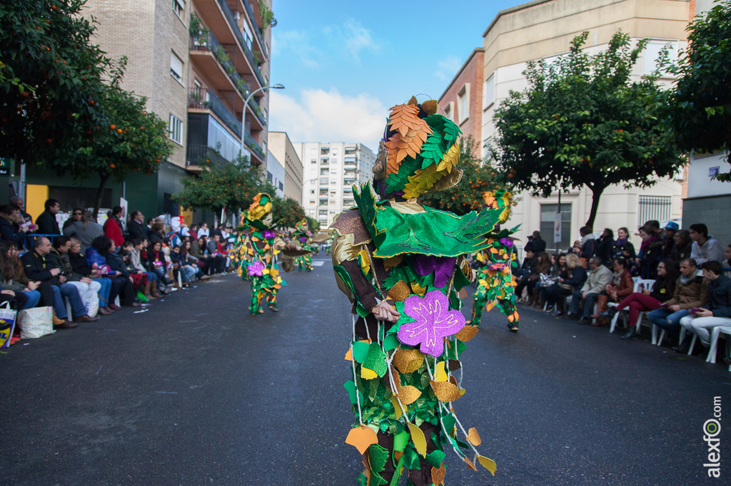 Comparsa Los Pio Pio - Carnaval Badajoz 2015 IMG_7045