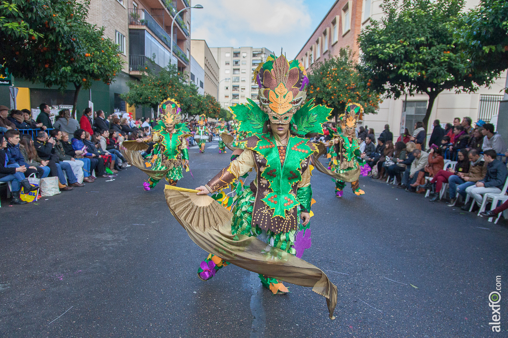 Comparsa Los Pio Pio - Carnaval Badajoz 2015 IMG_7052
