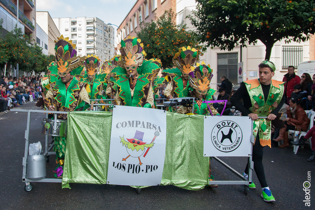Comparsa Los Pio Pio - Carnaval Badajoz 2015 IMG_7060