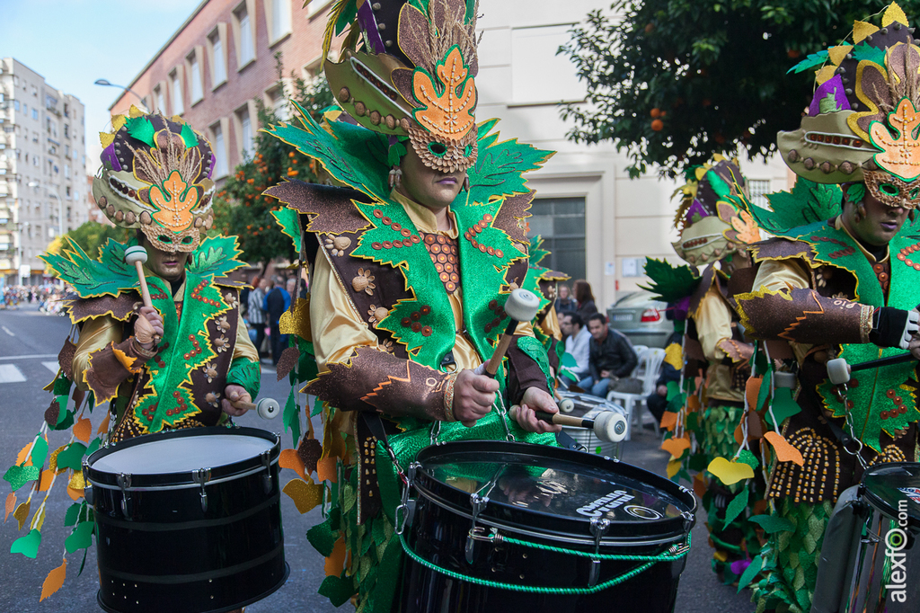 Comparsa Los Pio Pio - Carnaval Badajoz 2015 IMG_7061