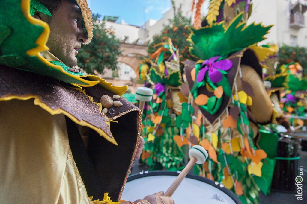 Comparsa Los Pio Pio - Carnaval Badajoz 2015 IMG_7064
