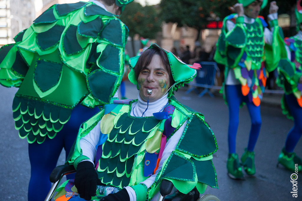 Comparsa Aspaceba - Carnaval Badajoz 2015 IMG_6908