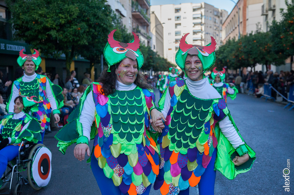 Comparsa Aspaceba - Carnaval Badajoz 2015 IMG_6907
