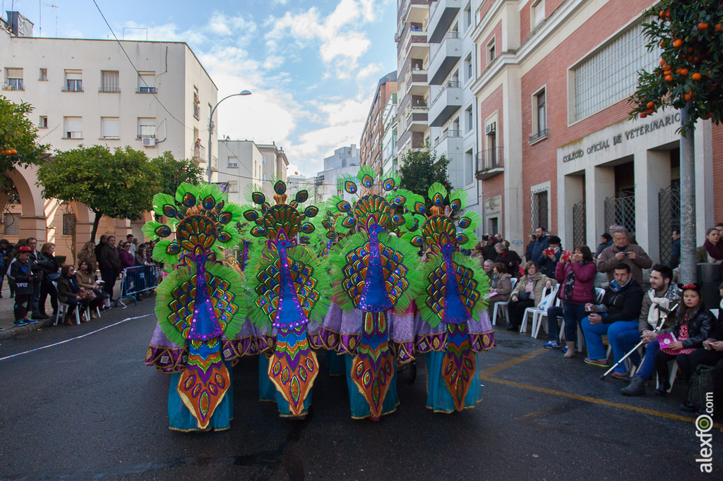 Comparsa Caretos Salvavidas - Carnaval Badajoz 2015 IMG_6848
