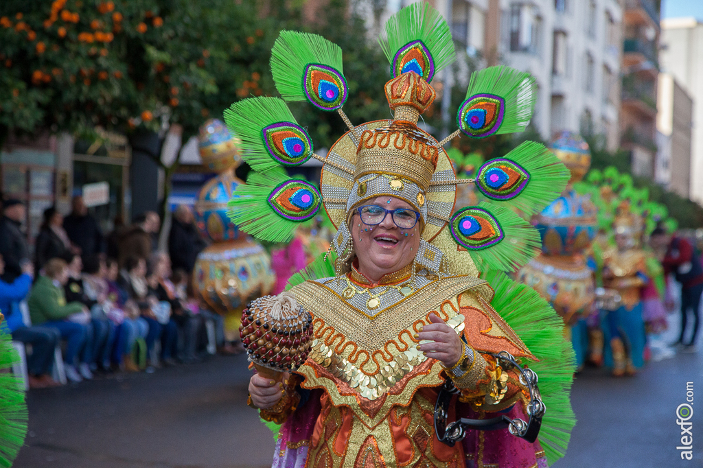 Comparsa Caretos Salvavidas - Carnaval Badajoz 2015 IMG_6839