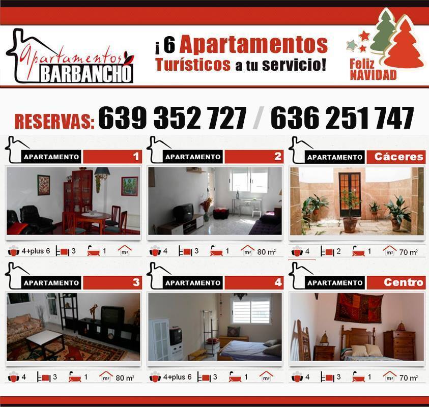 Apartamentos Barbancho publicidad 1459899_568037496597840_264541039_n