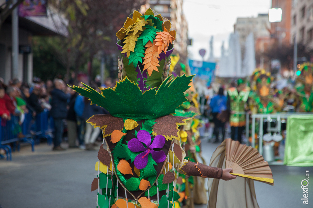 Desfile de Comparsas Infantil - Carnaval Badajoz 2015 IMG_4952
