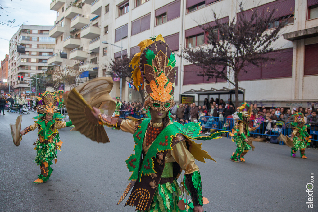 Desfile de Comparsas Infantil - Carnaval Badajoz 2015 IMG_4980
