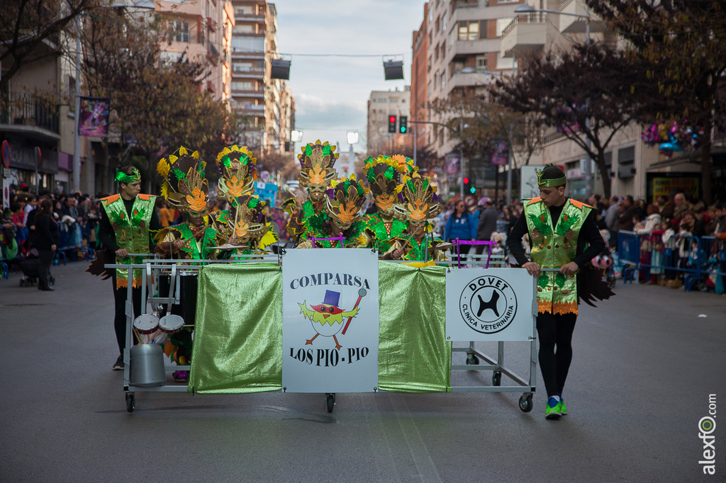 Desfile de Comparsas Infantil - Carnaval Badajoz 2015 IMG_4993