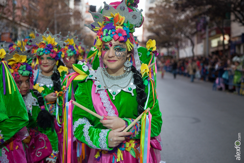 Desfile de Comparsas Infantil - Carnaval Badajoz 2015 IMG_5071