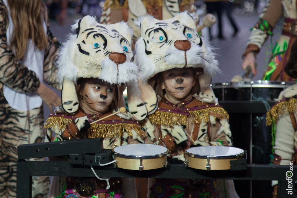 Desfile de Comparsas Infantil - Carnaval Badajoz 2015 IMG_5285