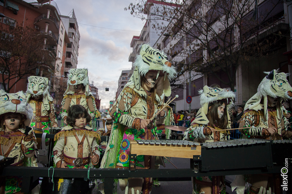 Desfile de Comparsas Infantil - Carnaval Badajoz 2015 IMG_5287