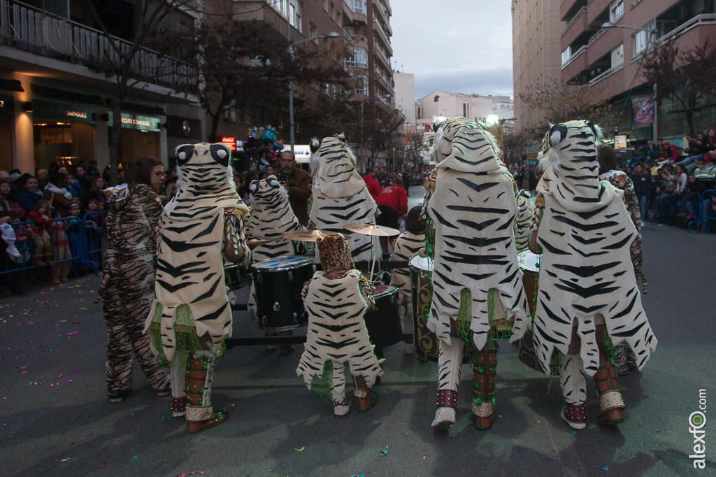 Desfile de Comparsas Infantil - Carnaval Badajoz 2015 IMG_5293