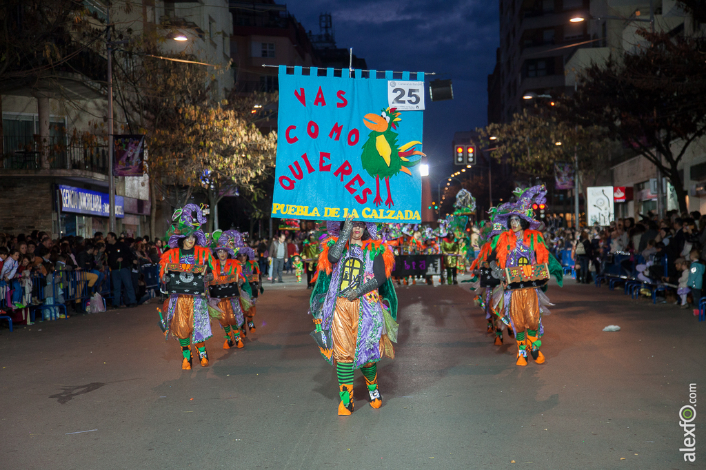 Desfile de Comparsas Infantil - Carnaval Badajoz 2015 IMG_5508
