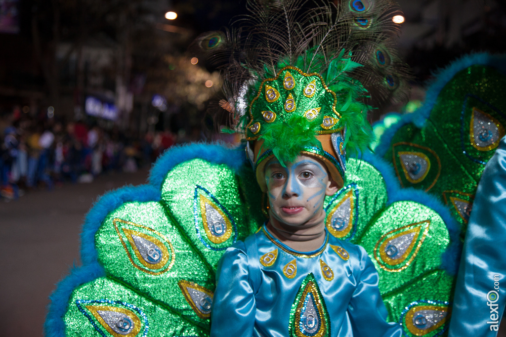 Desfile de Comparsas Infantil - Carnaval Badajoz 2015 IMG_5547