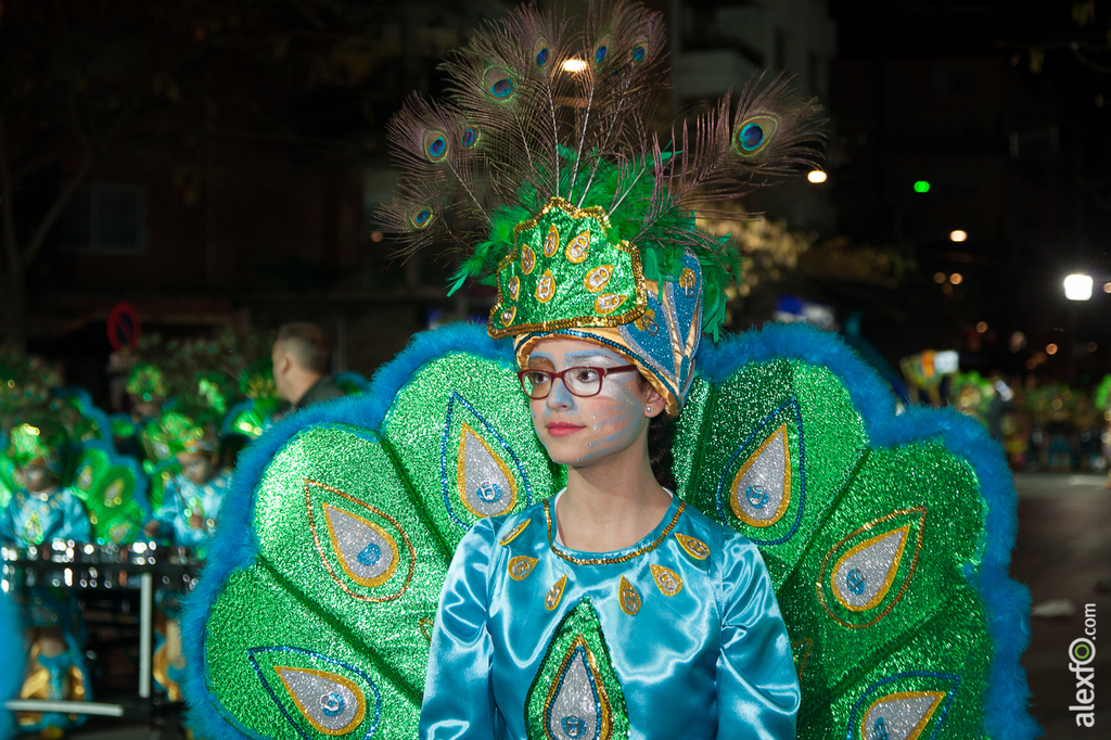 Desfile de Comparsas Infantil - Carnaval Badajoz 2015 IMG_5552