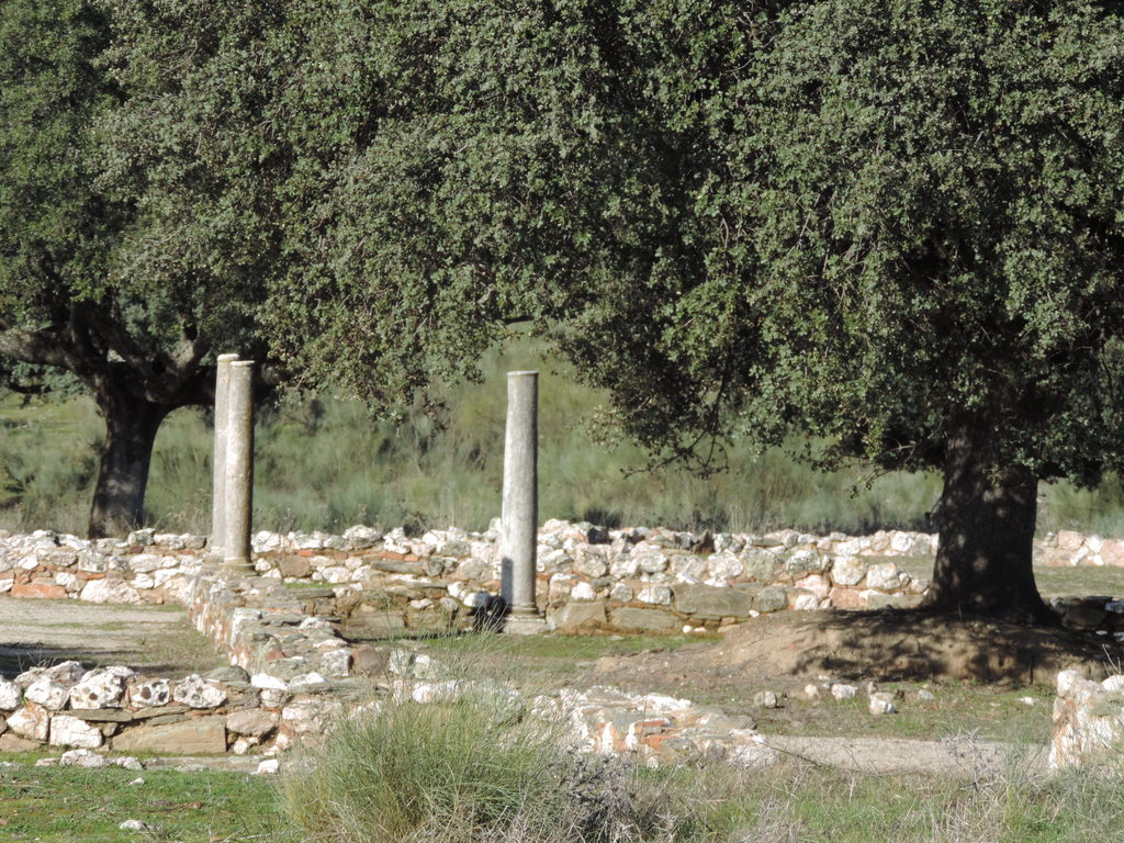 Villa romana de Monroy DSCN0251