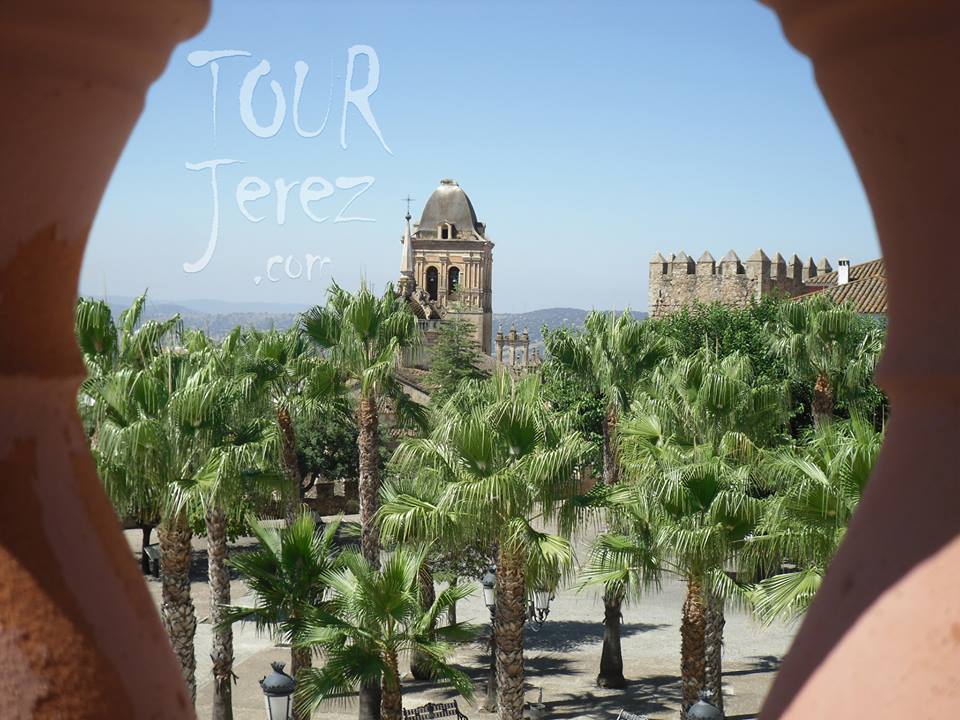 Tour Jerez visitas guiadas Tour Jerez (11)