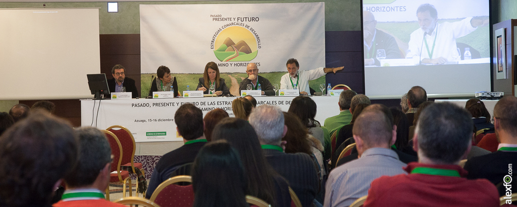 Jornadas Ceder Campiña Sur 2014 - Estrategias comarcales de desarrollo - Azuaga 15122014-IMG_6009