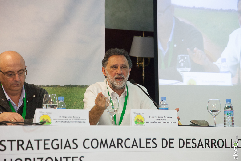 Jornadas Ceder Campiña Sur 2014 - Estrategias comarcales de desarrollo - Azuaga 15122014-IMG_6016