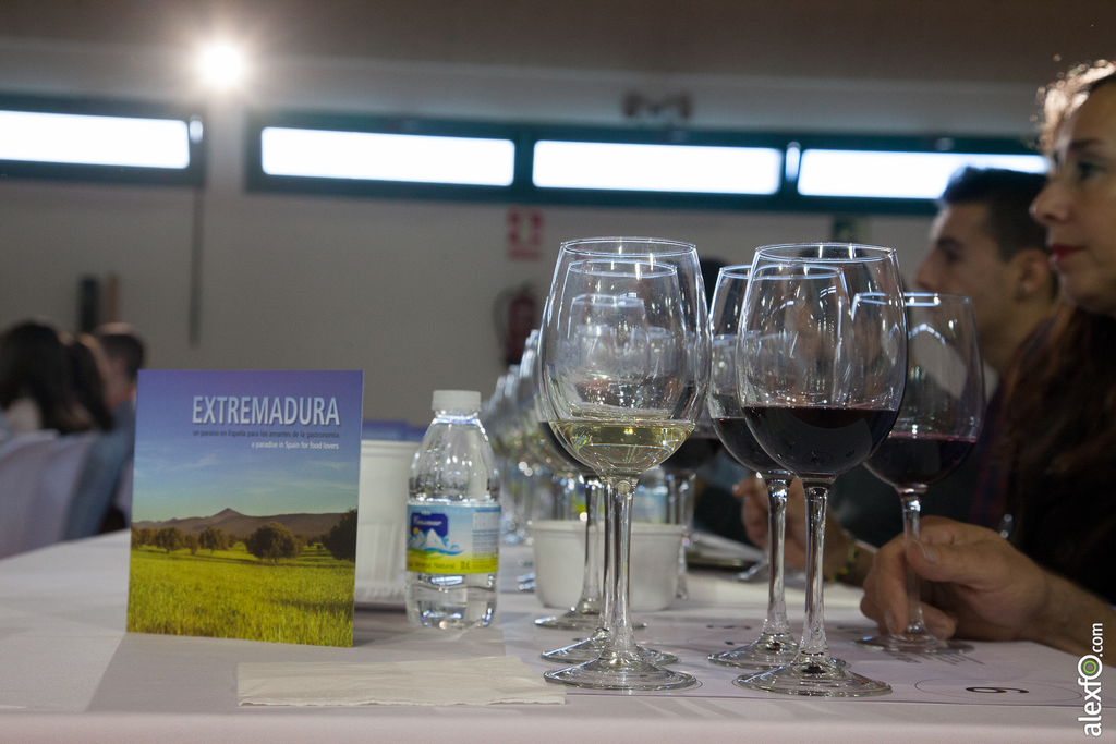Cata de vinos: Los Oro de Extremadura por Gilbert & Gaillard - Iberovinac 2014 los oros de extremadura gilbert & gailalrd-4817