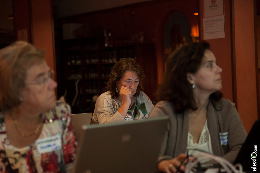 Encuentro Formación en Redes Sociales - Extremeños Exterior en Andalucía - Sevilla 15112014-IMG_5233