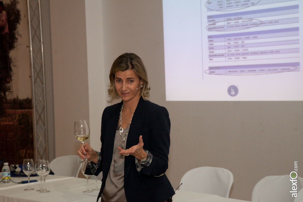 Master Class - Cata del WSET ( Wine Spirit Education Trust ) - Iberovinac 2014 2014-11-04 Master Class Catas de vinos-2