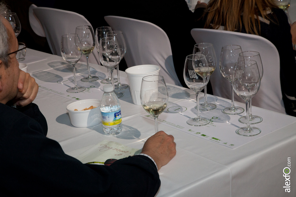 Master Class - Cata del WSET ( Wine Spirit Education Trust ) - Iberovinac 2014 2014-11-04 Master Class Catas de vinos-3