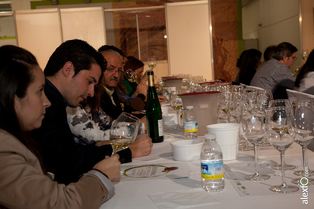 Master Class - Cata del WSET ( Wine Spirit Education Trust ) - Iberovinac 2014 2014-11-04 Master Class Catas de vinos-4