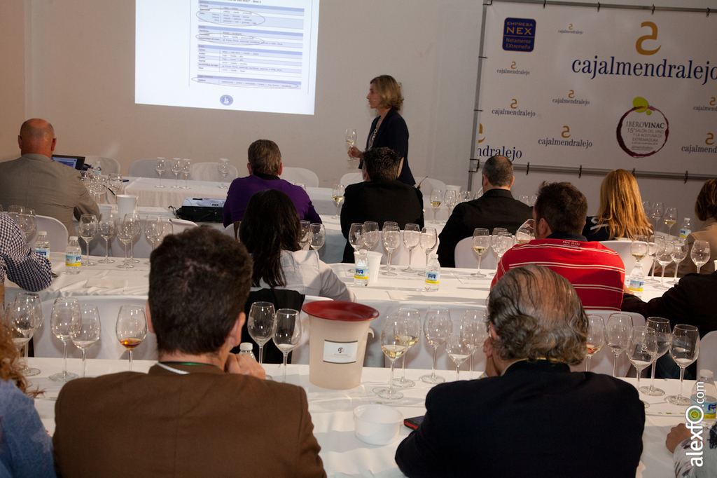 Master Class - Cata del WSET ( Wine Spirit Education Trust ) - Iberovinac 2014 2014-11-04 Master Class Catas de vinos-5