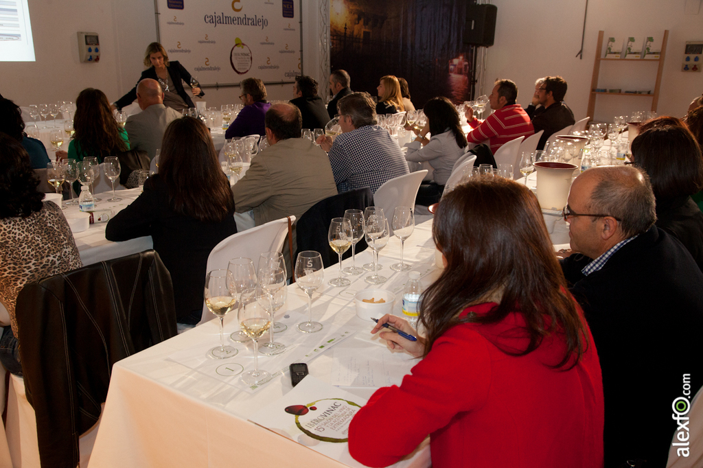 Master Class - Cata del WSET ( Wine Spirit Education Trust ) - Iberovinac 2014 2014-11-04 Master Class Catas de vinos-6