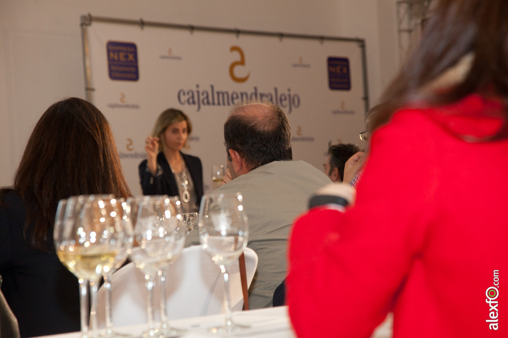 Master Class - Cata del WSET ( Wine Spirit Education Trust ) - Iberovinac 2014 2014-11-04 Master Class Catas de vinos-7