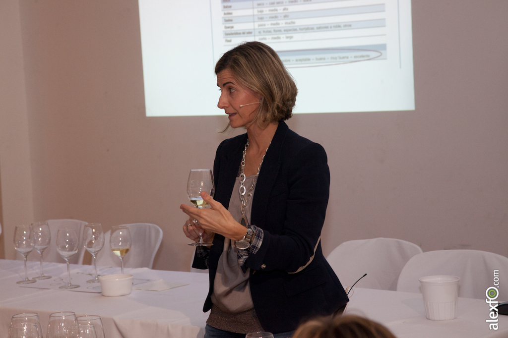 Master Class - Cata del WSET ( Wine Spirit Education Trust ) - Iberovinac 2014 2014-11-04 Master Class Catas de vinos-8