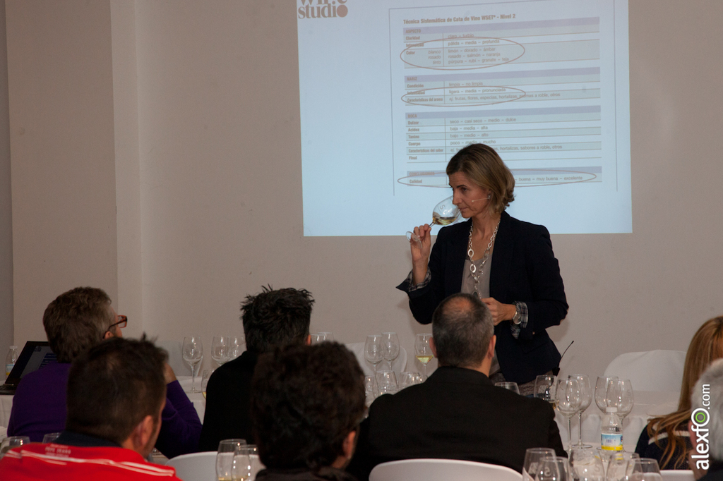 Master Class - Cata del WSET ( Wine Spirit Education Trust ) - Iberovinac 2014 2014-11-04 Master Class Catas de vinos-9