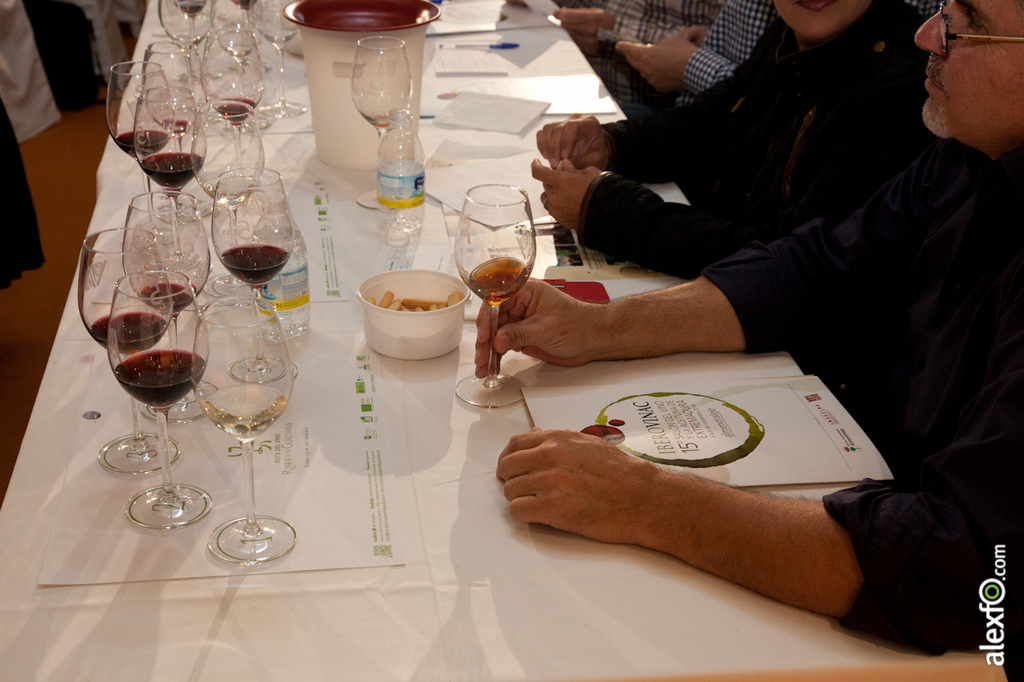 Cata de ibérica de vinos de Extremadura y Portugal - Iberovinac 2014 2014-11-04 Cata de Vino0001