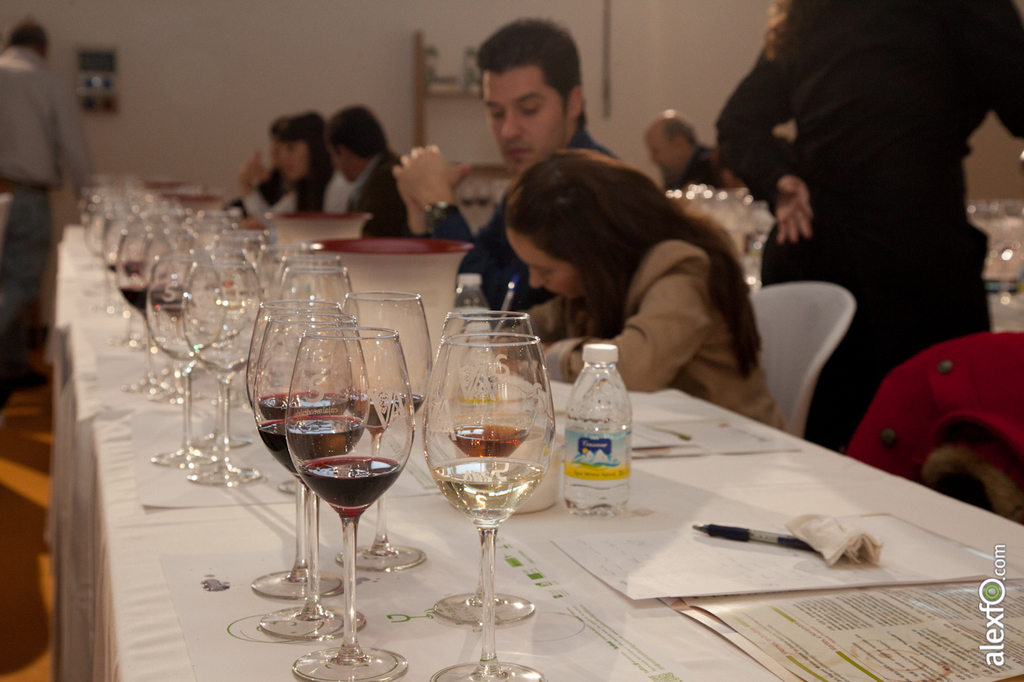 Cata de ibérica de vinos de Extremadura y Portugal - Iberovinac 2014 2014-11-04 Cata de Vino0002