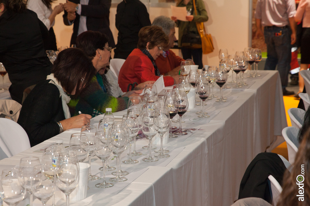Cata de ibérica de vinos de Extremadura y Portugal - Iberovinac 2014 2014-11-04 Cata de Vino0005